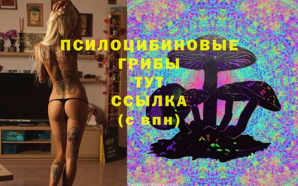дмт Магас