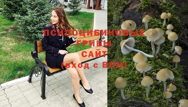 дмт Магас