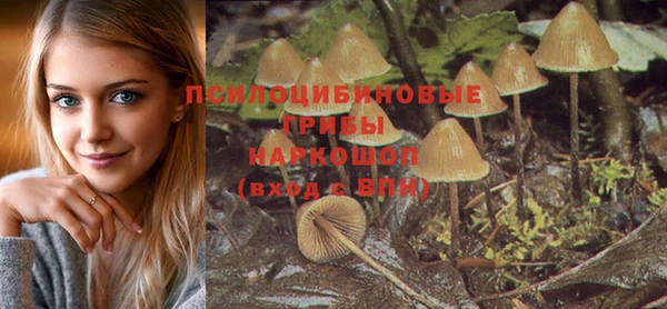 СК Абдулино