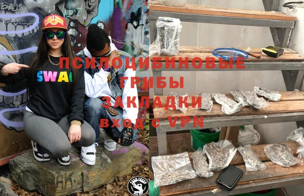 дмт Магас