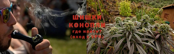 стаф Майский