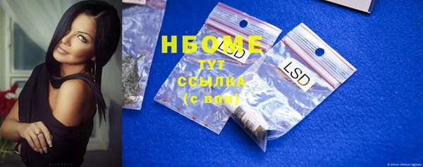 стаф Майский