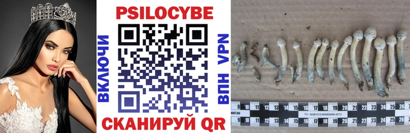 Галлюциногенные грибы прущие грибы Оренбург