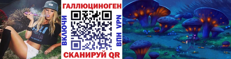 купить   Оренбург  Галлюциногенные грибы MAGIC MUSHROOMS 