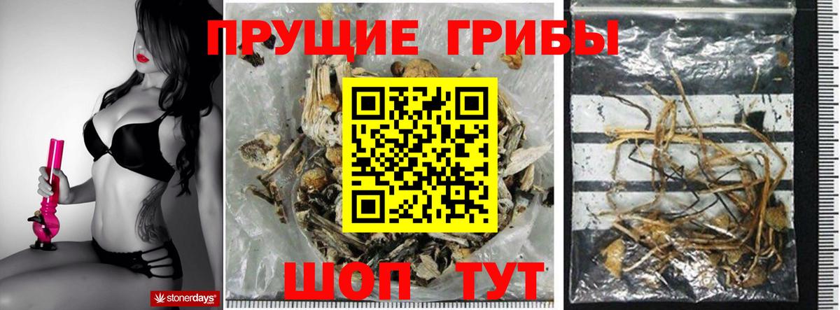 Оренбург  Псилоцибиновые грибы Magic Shrooms  купить закладку  Галлюциногенные грибы мицелий  Вход с VPN 